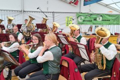 o_1g9sjskd61vcrabs19ll1pf0ugv1c