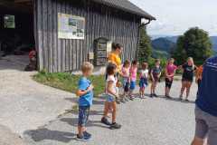 900b86fa-5160-4053-a75d-d618ccdcfde5